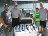 (08/04/2017) - Nice Striped Bass